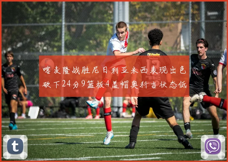 喀麦隆战胜尼日利亚米西表现出色砍下24分9篮板4盖帽奥科吉状态低迷仅得7分